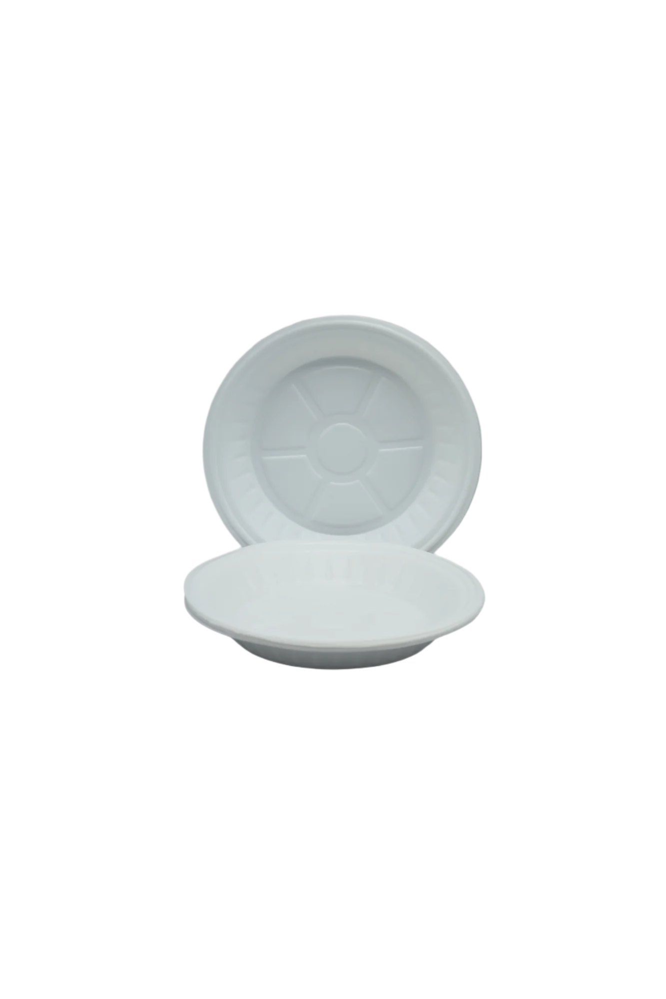disposable plastic plate medium 10pc pp 022